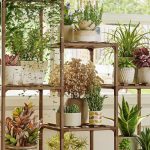Bamworld Wooden 3-Tier Plant Stand for Indoor and Outdoor Use with Boho Design