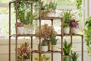 Bamworld Wooden 3-Tier Plant Stand for Indoor and Outdoor Use with Boho Design
