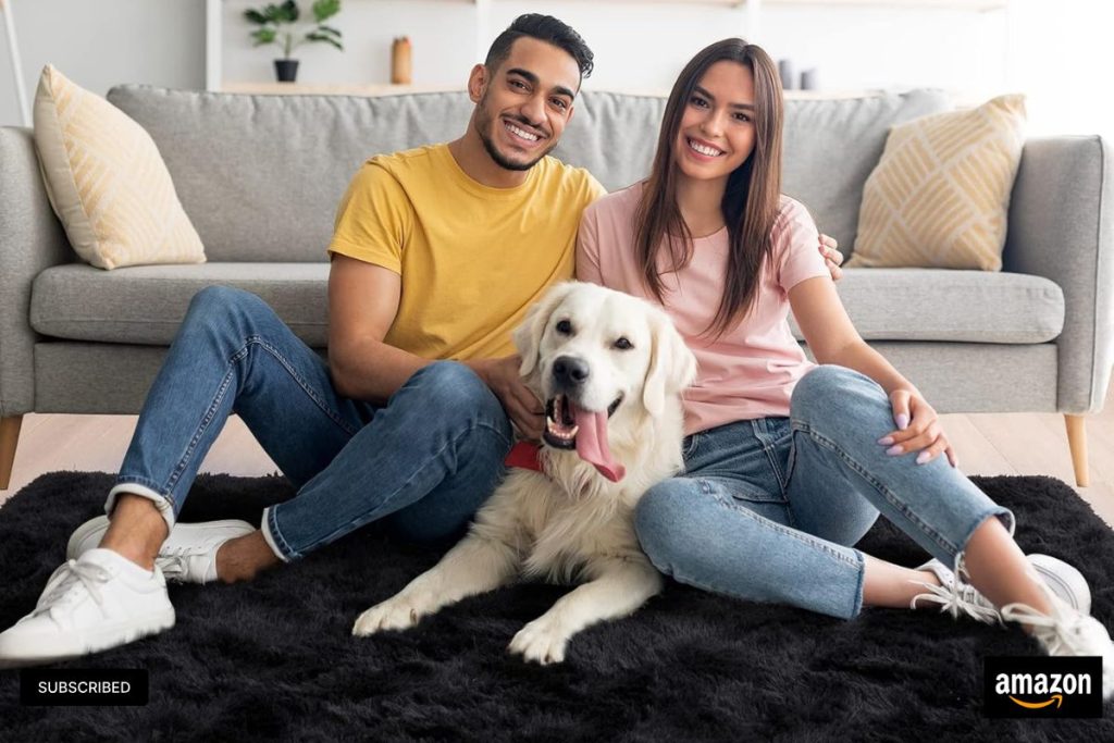 Noahas Fluffy Black Area Rug – Soft Shaggy 4x5.3 Ft Carpet for Bedroom, Living Room, and Dorm Decor