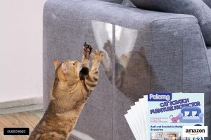 Anti-Cat Scratch Furniture Protector Tape – 12-Pack with Twist Pins for Couch, Wall, and Door Protection
