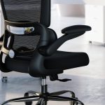 "Black ergonomic office chair with adjustable lumbar support and breathable mesh back – perfect for home offices."