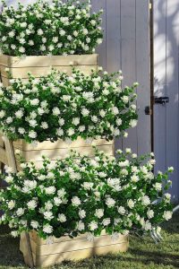 "White eucalyptus artificial flowers bundle – UV resistant outdoor decor"