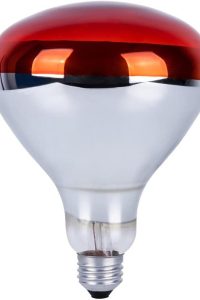 250W R40 infrared heat lamp bulb with reflector, ideal for chick brooders, pet heating, bathrooms, light therapy, and food warming (1 pack).