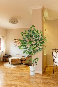 "6ft artificial ficus tree with realistic silk leaves and decorative woven basket – faux greenery for indoor or outdoor home, office, or garden decor"