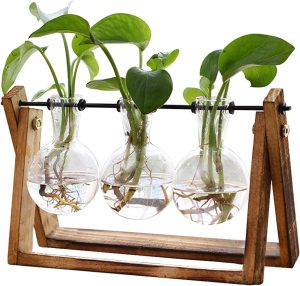 Triple bulb glass vase terrarium with wooden stand and metal swivel holder, perfect for air plants or cuttings.