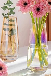 “Aoderun 8.7-inch iridescent clear glass vase with modern design, ideal for bouquets, table centerpieces, and home or office decor.”