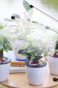 "GooingTop LED grow light with clip-on base, featuring 6000K full spectrum white and red LEDs, 5 dimming levels, and auto on/off timer for indoor plants"