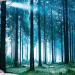 White light forest tapestry wall hanging featuring serene woodland landscape, ideal for modern bedroom or living room decor, size 60 inches by 51 inches