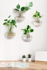 Set of 4 Mkono oblate glass wall vases with green cuttings, styled on a modern white wall.