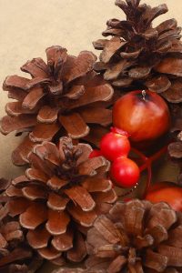 Whaline 25-pack of natural pine cones with hanging string – rustic Christmas ornaments for tree, fall, or Thanksgiving decor (1.6–2.4 inch)