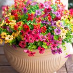 "Artificial daisy flower bundle with eucalyptus leaves in pink, red, purple, and yellow for home and garden decoration"