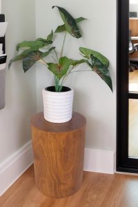 "Athaliah rustic wooden tree stump end table made from hand-carved Paulownia wood, used as plant stand, nightstand, or decorative stool"