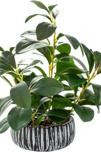 "AlphaAcc artificial succulent in black clay pot on bathroom shelf"