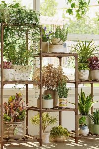 "Bamworld 3-Tier Wooden Plant Stand with multiple potted plants in a boho living room setup"