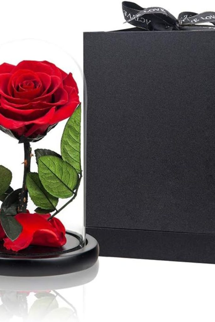 "Preserved red roses arranged inside a medium glass dome for romantic gift"