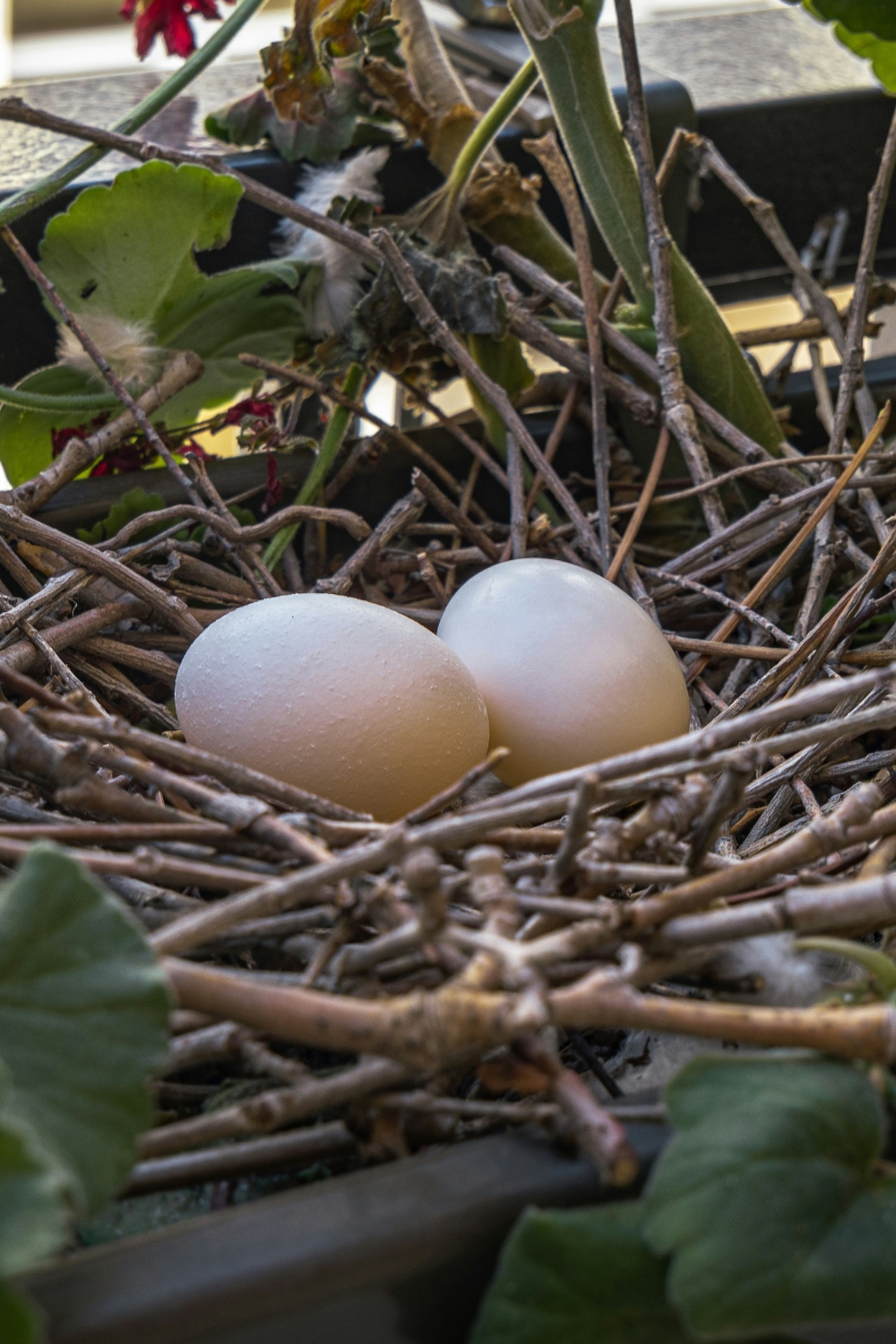 Modern Wooden Nesting Tables – stylish space-saving nesting coffee tables