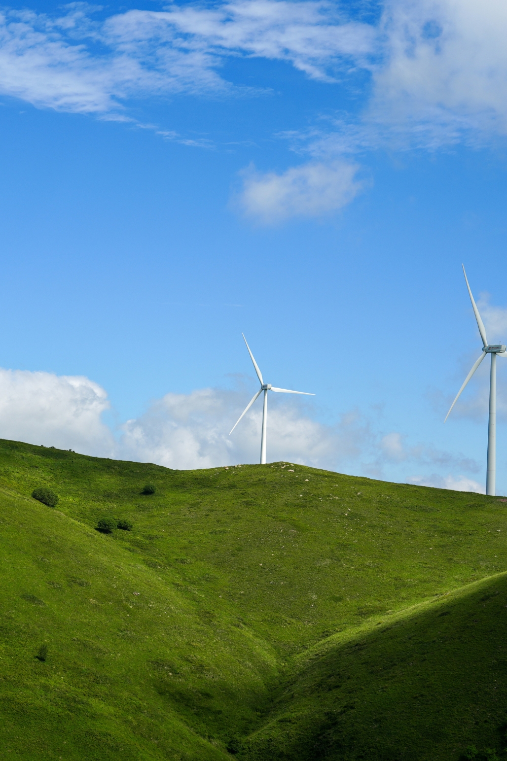 Smart energy monitor showing home electricity usage