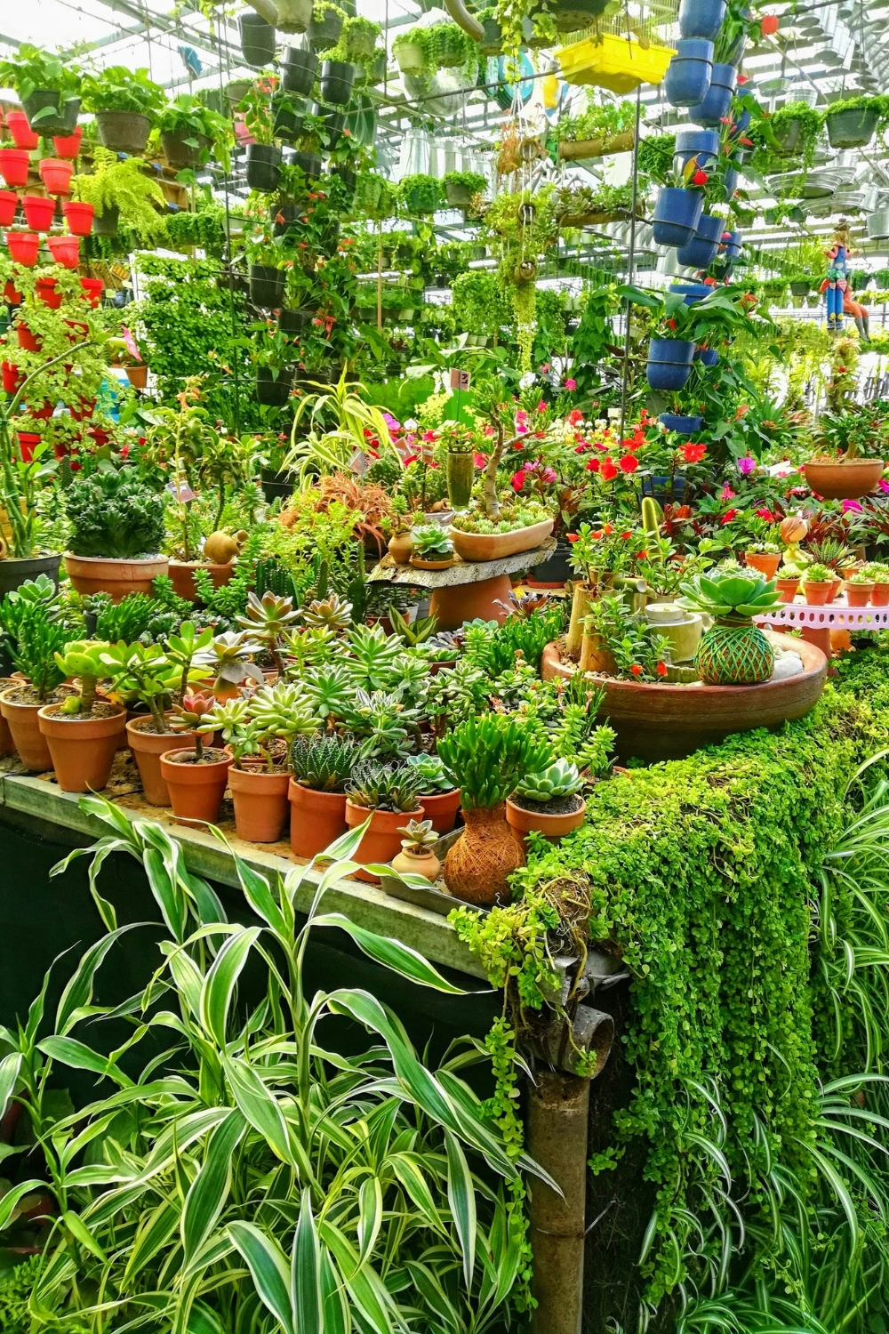 Small indoor plants adding greenery to living room