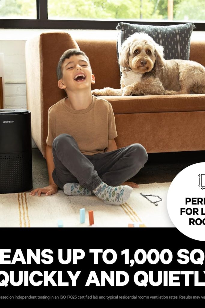 “PuroAir 240 HEPA Air Purifier for large rooms, removes 99.9% of dust, pollen, smoke, and allergens, quiet operation for bedroom and living spaces.”