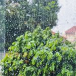 “Proper ventilation to keep home damp-free during monsoon”