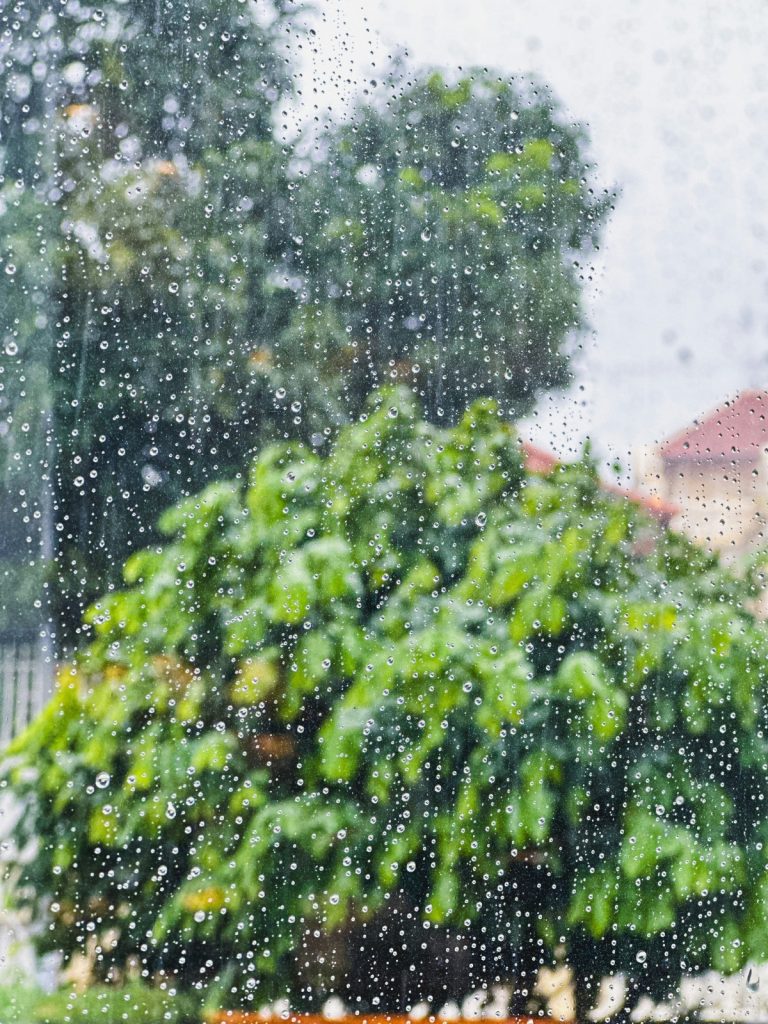 “Proper ventilation to keep home damp-free during monsoon”