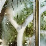 keep home damp-free during monsoon monsoon home care tips prevent dampness in walls moisture control in rainy season