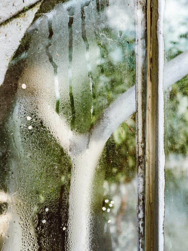 keep home damp-free during monsoon monsoon home care tips prevent dampness in walls moisture control in rainy season