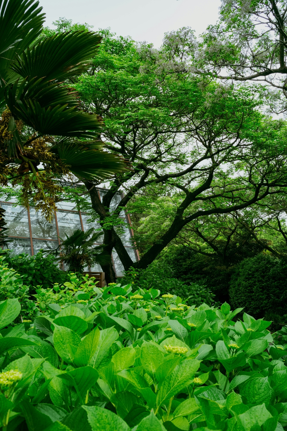 “Living room decorated with indoor plants, green wreath, and eco-friendly New Year 2025 home décor accents.”