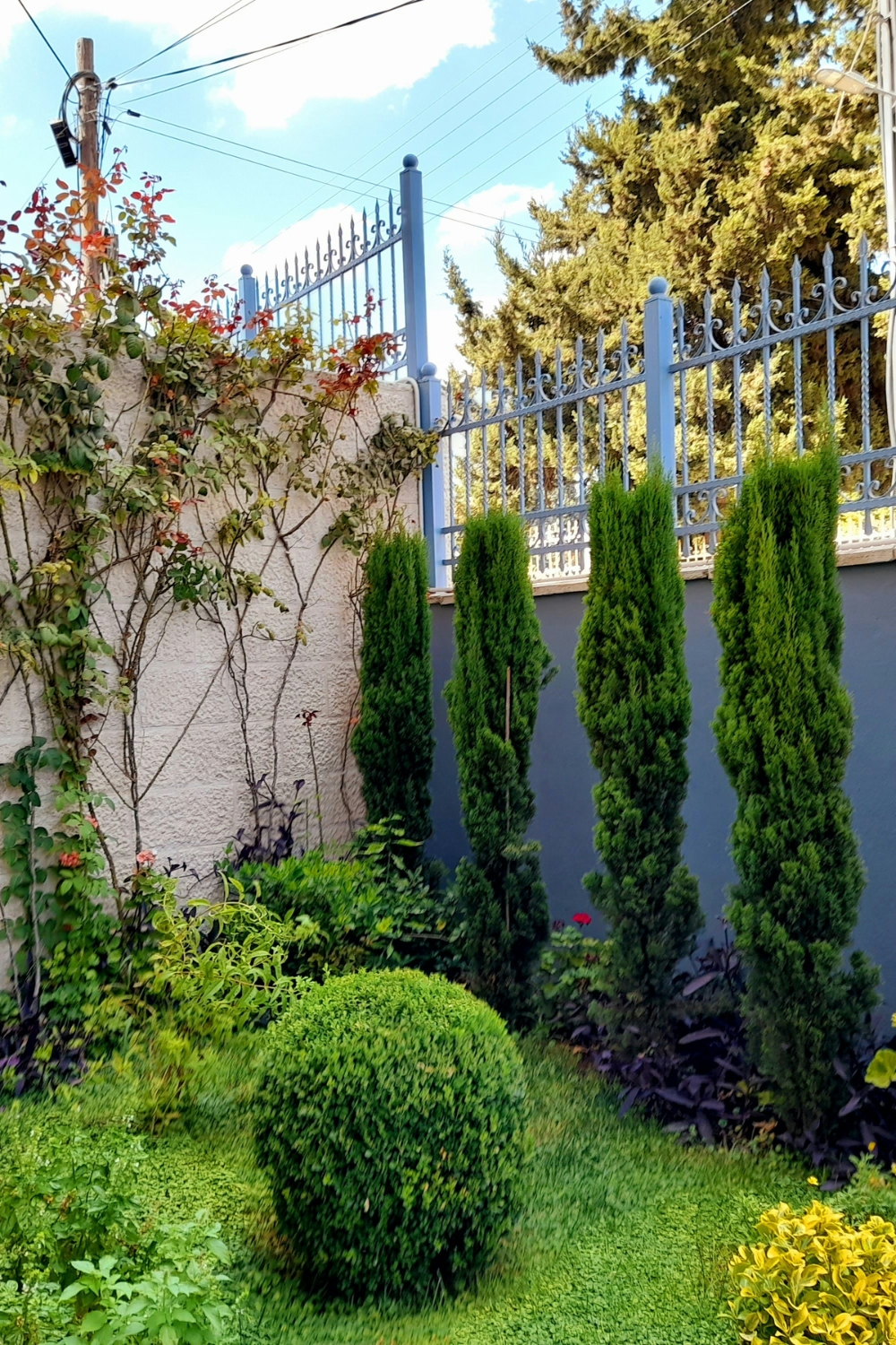 “Vertical garden with lush green potted plants on a small balcony”
