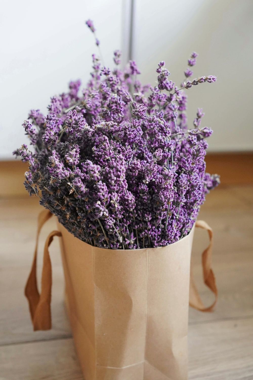 Blush and muted lavender bedroom walls – subtle comfort and calming interior design