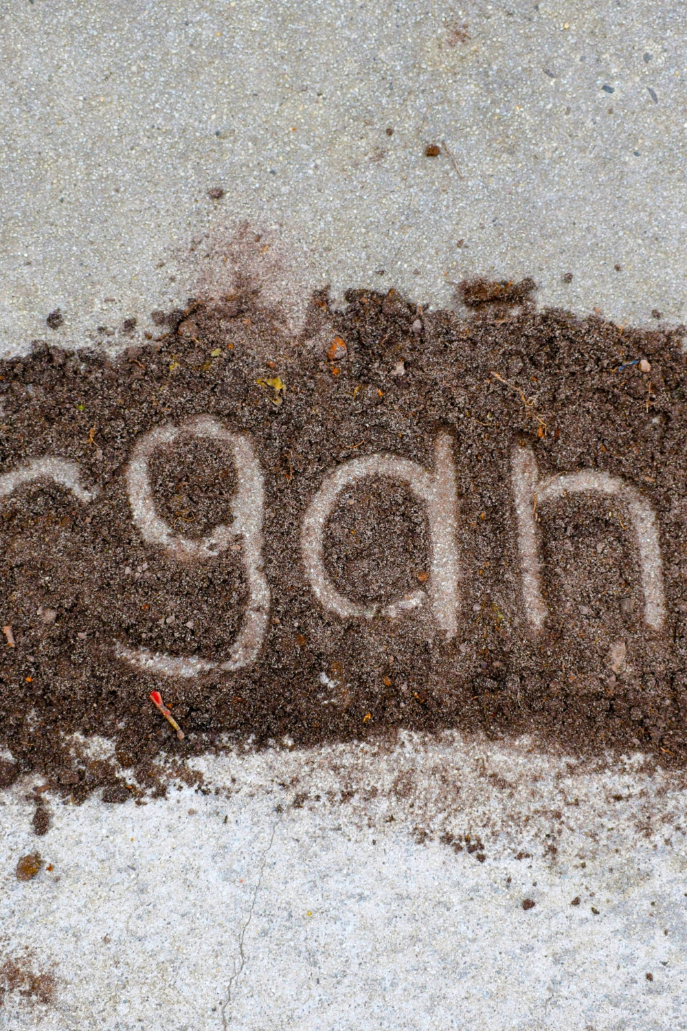 “Woven natural basket used as an eco-friendly home organizer for winter décor”