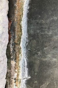 “Sealing wall cracks before monsoon to prevent water leakage”