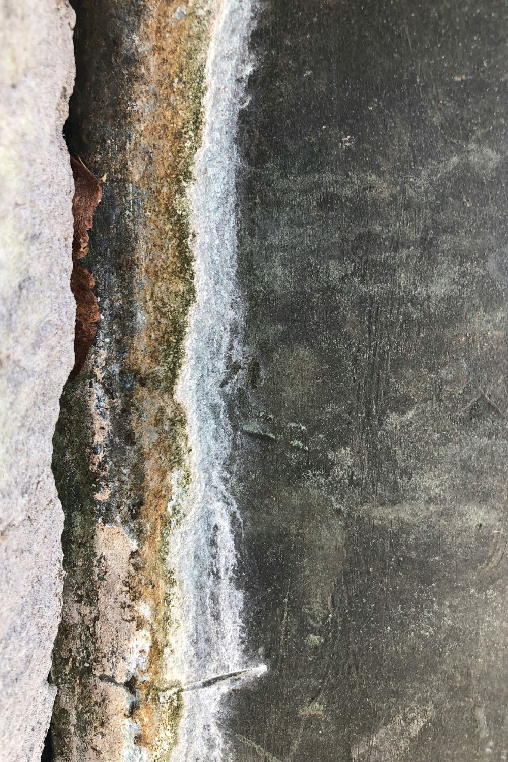 “Sealing wall cracks before monsoon to prevent water leakage”