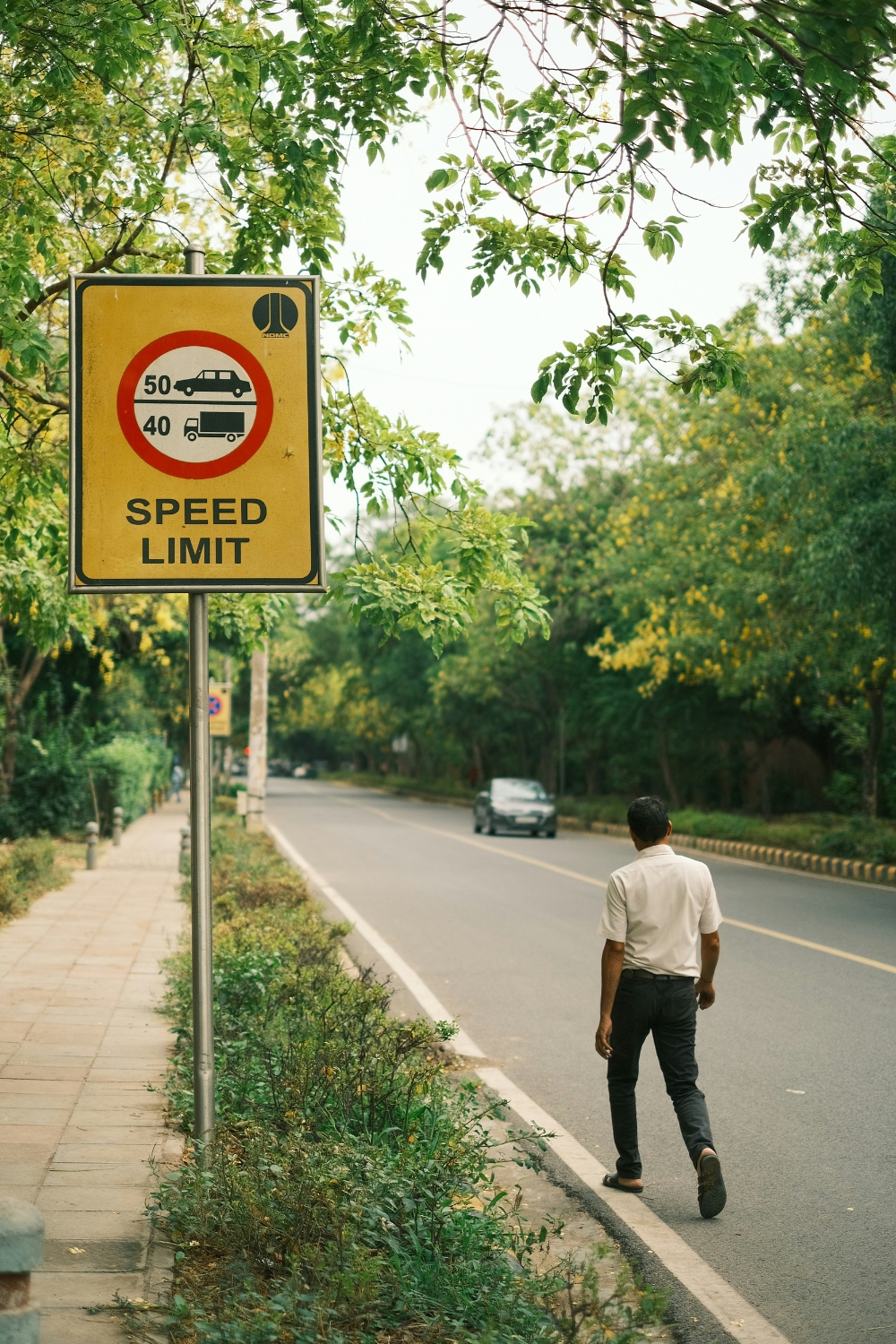 “Bed with hidden storage drawers maximizing space in small bedroom”