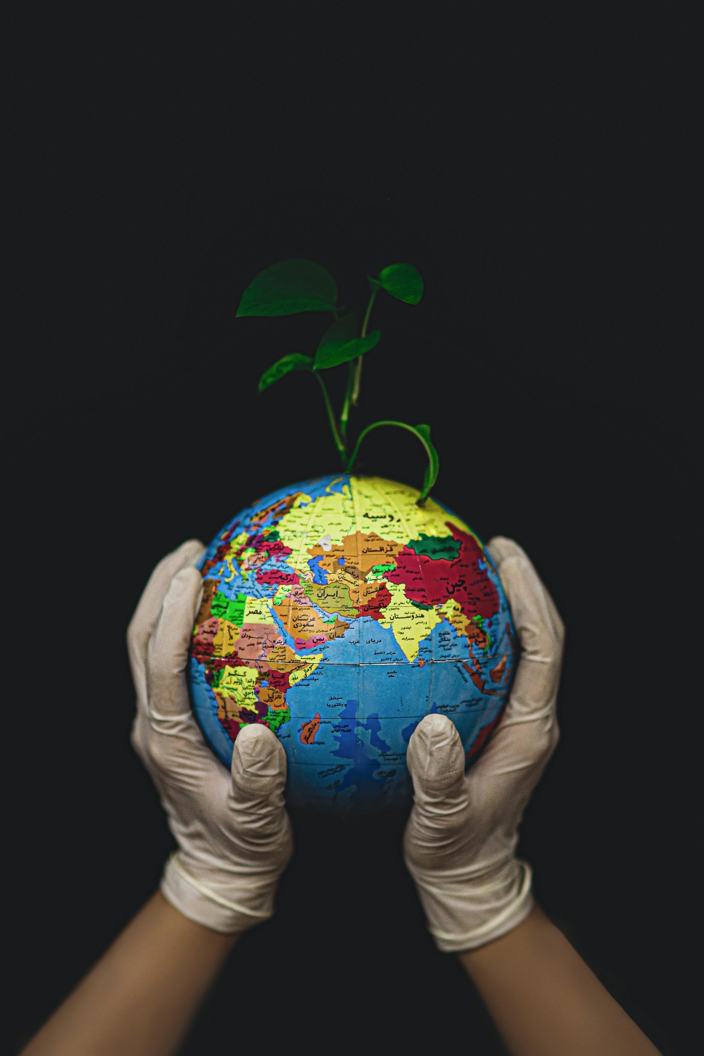 FSC-certified wooden furniture in eco-friendly home