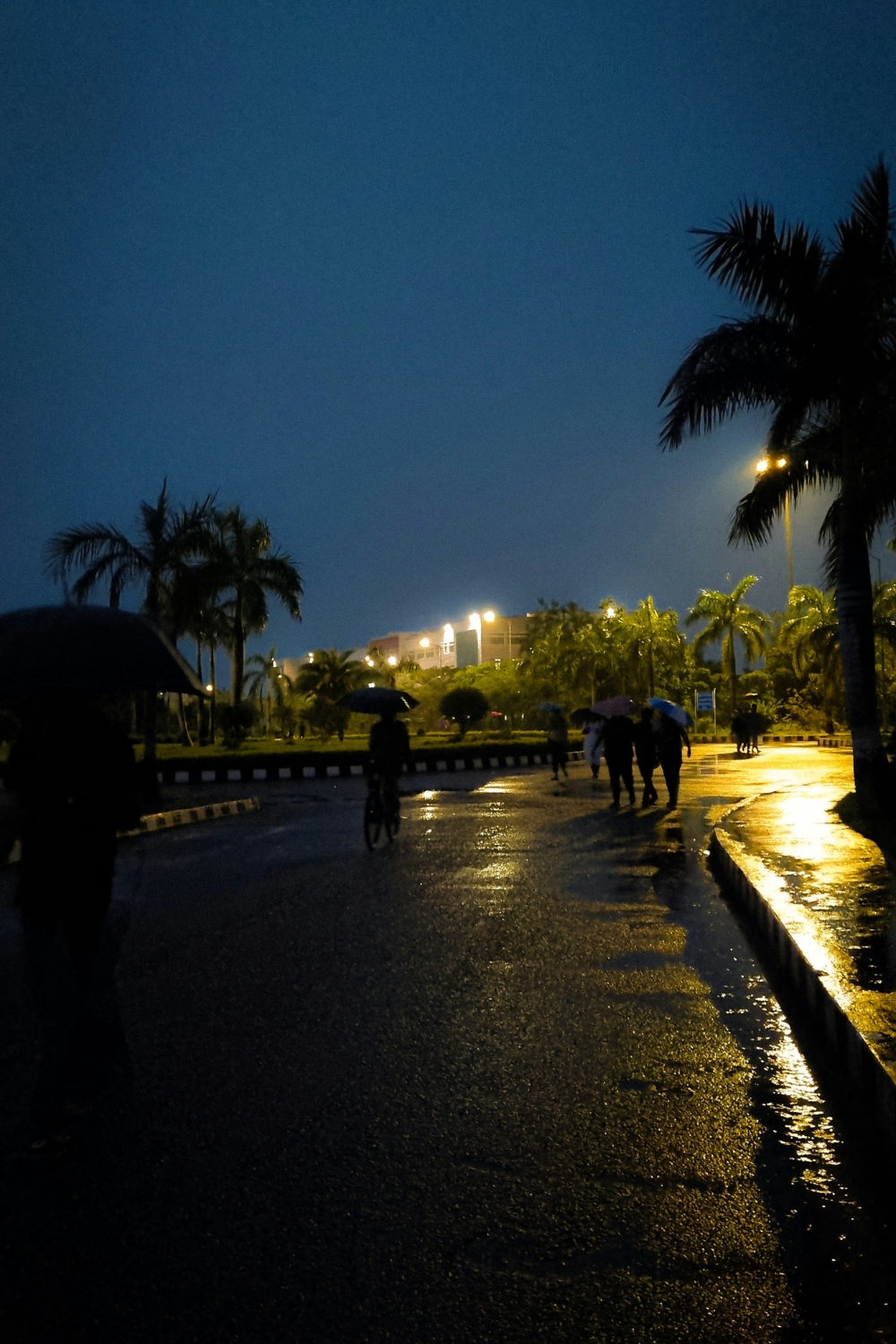 “Inspecting home lighting to prevent issues during monsoon”