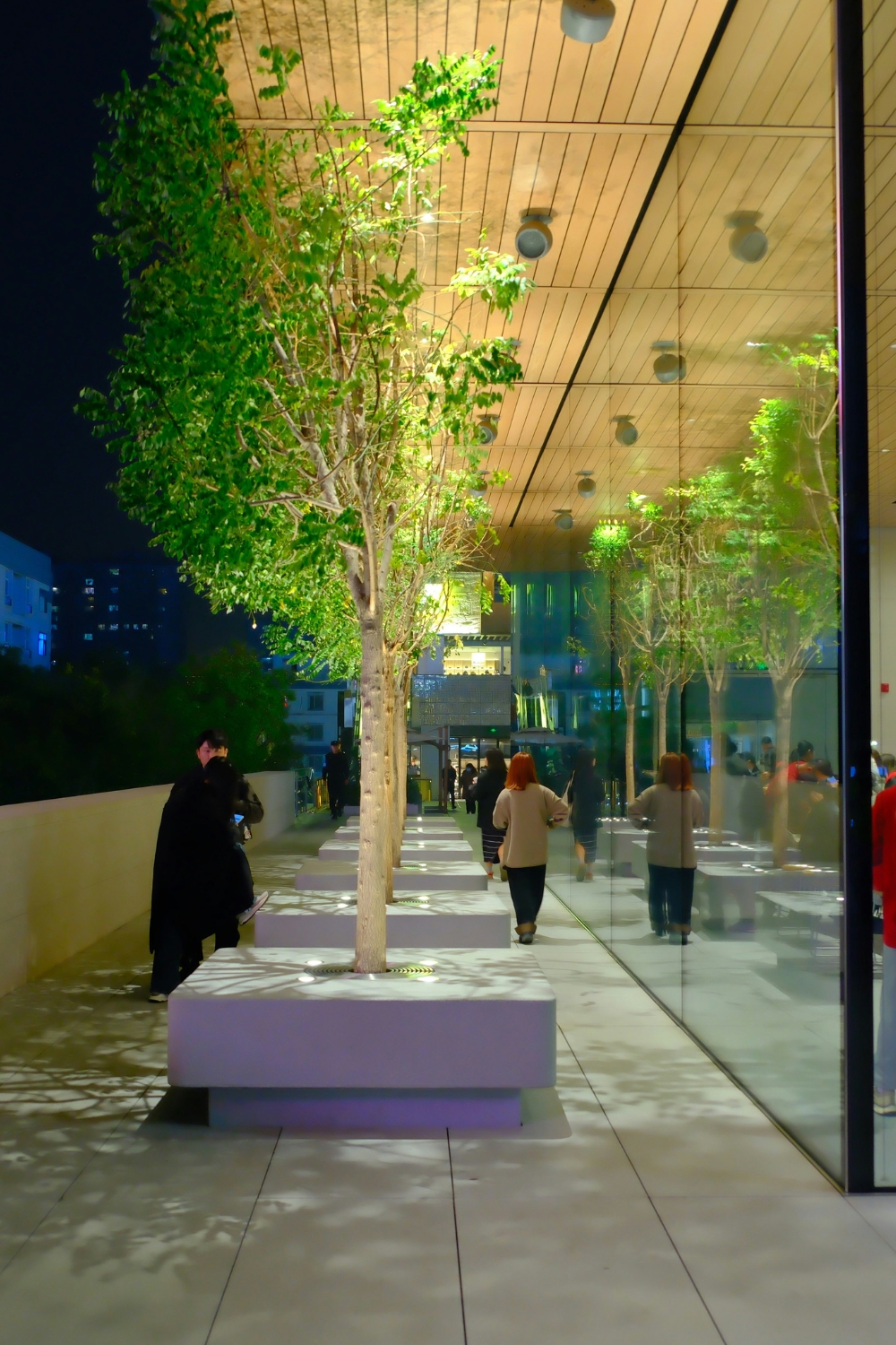 “Smart LED outdoor lights illuminating backyard for ambiance and security”