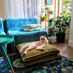 Modern living room with 2025 designer-approved color scheme in warm neutral tones