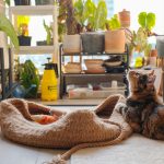 Modern pet-friendly living room design with dog-friendly furniture and durable flooring