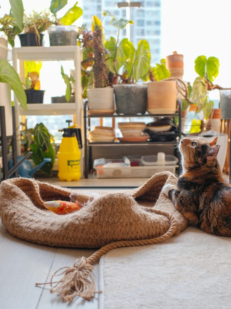 Modern pet-friendly living room design with dog-friendly furniture and durable flooring