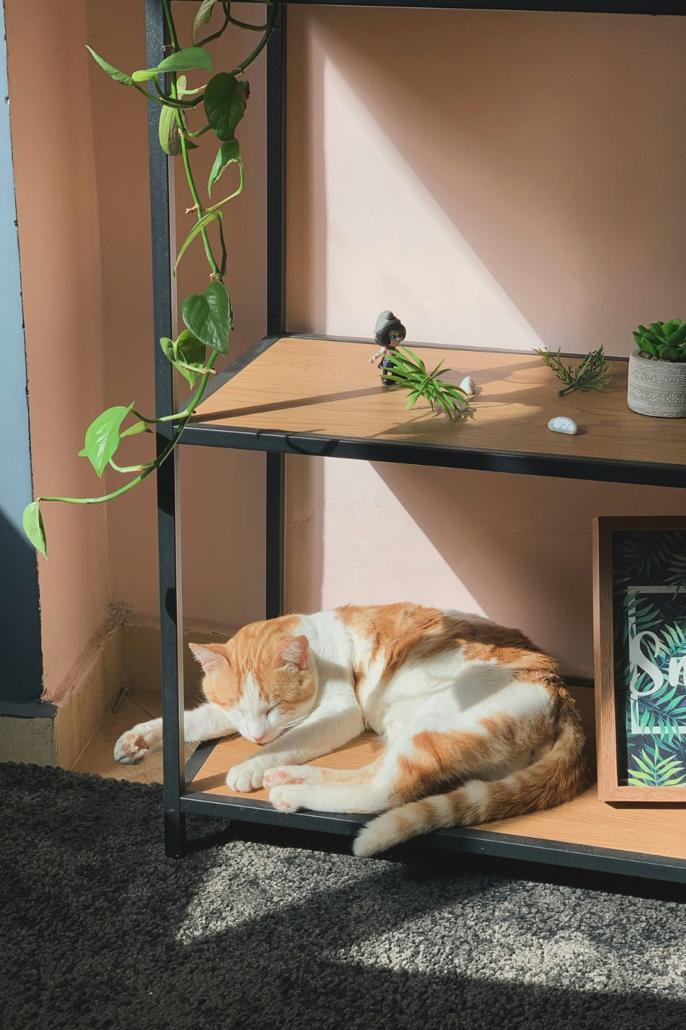 Cozy pet space with dog bed and stylish home décor design