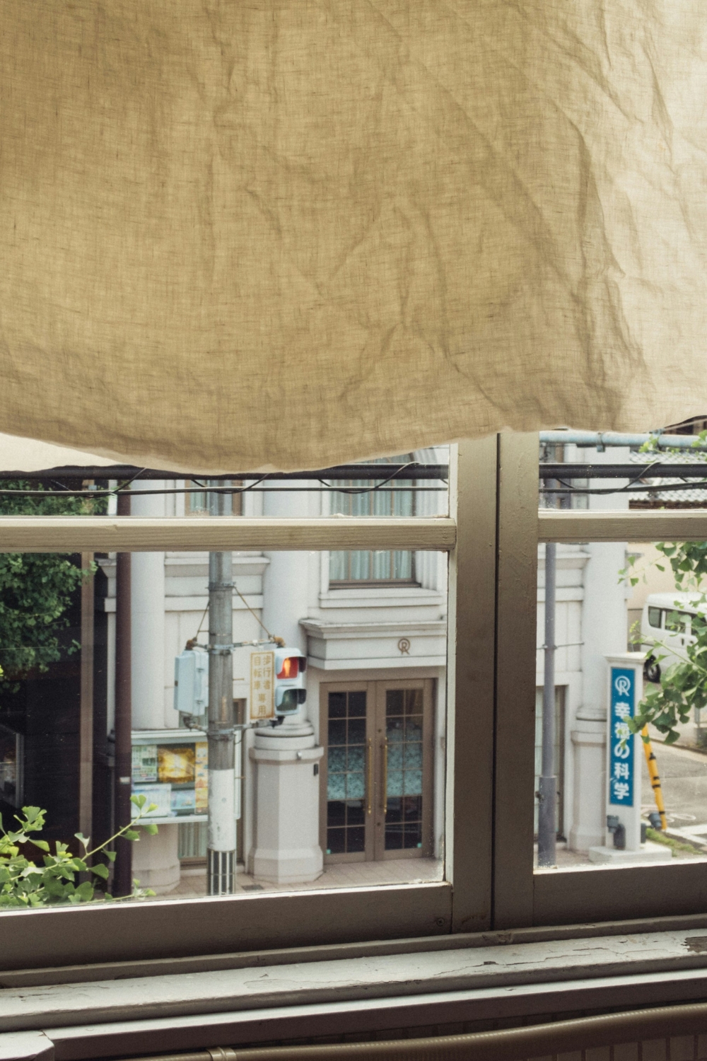 Cat relaxing on cozy window perch with sunlight view