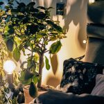 Meta Title: Cozy Night Lighting Ideas to Make Your Home Feel Warm | Soft Lighting Inspiration Meta Description: Discover cozy night lighting ideas to make your home feel warm and inviting. Explore LED vs. traditional lighting, real-life tips, and problem-solving solutions for common lighting challenges. Cozy Night Lighting Ideas to Make Your Home Feel Warm When the sun goes down, the lighting in your home becomes one of the biggest factors in how your space feels. Whether you’re winding down after a long day, hosting friends for a chill night in, or just trying to make your living room feel a bit more inviting, warm night lighting can completely change the vibe. As someone who’s spent years experimenting with lamps, bulbs, ambient lights, and way too many failed lighting purchases, I can confidently say: good night lighting doesn’t have to be expensive or complicated. You just need the right layers and the right mood. This guide breaks down practical night lighting ideas, long-tail insights, real-life tips, and a comparison of LED vs. traditional lighting—so you can create the cozy glow you’ve been imagining. H1: Why Cozy Night Lighting Matters Lighting isn’t just about visibility—it's about atmosphere. A single lamp can literally change the emotional temperature of your space. When your home feels warm, you naturally slow down, breathe easier, and enjoy being there. Warm lighting can help: Reduce stress Improve sleep readiness Make your home feel more inviting Enhance décor textures Highlight rooms without harsh brightness Think about how a café feels at night—dim, warm, comforting. Your home can feel the same with just a few smart changes. H2: Cozy Night Lighting Ideas That Change the Entire Mood H3: 1. Use Multiple Light Sources (Layering Is Key) Relying on one overhead light is the biggest mistake most people make. Instead, use a mix of table lamps, floor lamps, string lights, and accent lighting. When you layer your lighting, each corner gets a soft glow rather than one harsh spotlight. Real-life tip: I used to depend entirely on my ceiling fan light. Every night felt like I was working in a warehouse. Once I added two lamps and an LED strip behind my TV, the transformation was unreal—it instantly felt like a cozy lounge rather than a bright studio. H3: 2. Add Warm Glow Table Lamps Table lamps are the easiest way to achieve warm, soft lighting. Opt for: Warm white bulbs (2700K–3000K) Linen or fabric lampshades Lower-wattage bulbs for softness Place lamps on nightstands, side tables, shelves, or even under a console table to create subtle pools of light. Long-tail keyword integration: warm bedside table lamps for cozy night lighting, soft lighting ideas for living rooms, warm glow lamp décor H3: 3. Use LED Strip Lights for Soft Backlighting LED strip lights have come a long way—they’re no longer just for teenagers’ gaming rooms. When used right, they can create beautiful, cozy ambient lighting. Great places for LED strips: Behind the TV Under shelves Under the bed frame Behind headboards Along bookshelves Opt for warm white or adjustable white over bright RGB colors if you're going for a cozy vibe. Real-life tip: I placed warm LED strips behind my couch and TV stand. The backlighting created depth and eliminated that “dark corner” feeling. H3: 4. Add Lanterns and Candle-Style Lighting Nothing beats the warm flicker of candlelight. If real candles worry you, go for LED flame candles—they look surprisingly realistic now. Great candle lighting ideas: Place 3–5 LED candles together for drama Put lanterns in corners or near the fireplace Use a tray to group candles for a clean aesthetic H3: 5. Use Dimmable Bulbs for Custom Comfort This is one of the best investments you can make. With dimmable bulbs, you decide the mood—bright enough to read, soft enough to relax. Smart bulbs also let you adjust: Color temperature Brightness levels Timers and nighttime modes H3: 6. Incorporate String Lights (Subtly!) String lights don’t need to look dorm-room-ish if you choose the right style. Look for: Warm white fairy lights Copper wire lights Globe string lights Hang them behind curtains or weave them into bookshelves for a soft, magical touch. H2: Comparison Section — LED vs. Traditional Lighting One of the biggest questions people ask when upgrading their cozy night lighting is whether to use LED or traditional incandescent bulbs. Here’s a breakdown: LED Lighting Pros: Energy-efficient Lasts much longer Adjustable color temperatures Safe and cool to the touch Works well with smart home systems Cons: Can look too “cool” if you pick the wrong temperature Cheap brands may flicker or feel too bright Best for: LED strips, accent lighting, night lights, smart bulbs, under-bed lighting. Traditional Incandescent Lighting Pros: Naturally warm, cozy glow Softer, more relaxing light Ideal for warm night environments Cons: Uses more energy Shorter lifespan Generates heat Best for: Table lamps, reading corners, bedrooms. My personal take: I mix both. LED strips and smart bulbs for flexibility, and old-school incandescent bulbs where I want pure warmth. H2: Common Night Lighting Problems and How to Solve Them H3: Problem 1: Your Room Feels Too Bright at Night Solution: Use warmer bulbs (2700K or lower) and add dimmable switches. H3: Problem 2: Dark Corners Make the Space Feel Cold Solution: Place a floor lamp or soft LED strip in corners. Lighting doesn’t need to be bright—just present. H3: Problem 3: Lamps Look Harsh or Create Glare Solution: Choose fabric lampshades or lower-lumen bulbs. Lampshades with beige or cream fabric soften the light beautifully. H3: Problem 4: Lighting Feels Disconnected and Random Solution: Create a lighting plan—one lamp per corner or per zone. Think symmetry and balance instead of random placements. H2: Real-Life Tips to Make Your Home Feel Cozy at Night 1. Warm bulbs are everything. Anything above 3000K starts to feel clinical. Stick to the warmest tones for nighttime. 2. Aim for more light sources, not brighter ones. Five soft glows feel better than one bright lamp. 3. Hide the light source whenever possible. Indirect light = instant coziness. 4. Use reflective surfaces wisely. A lamp next to a mirror doubles the glow. 5. Put lighting on timers. Nothing ruins a cozy night like walking into a dark room at 9 PM. Timers fix that. H2: Final Thoughts — Creating a Warm, Cozy Night Atmosphere Great night lighting doesn’t happen by accident—it's created with intention. By layering your lights, keeping color temperatures warm, and choosing the right mix of lamps and accents, you can transform your space into a nighttime retreat. Whether you're trying to relax, entertain, or just make your home feel more comforting, these cozy night lighting ideas will help you create the warm glow you’re looking for.