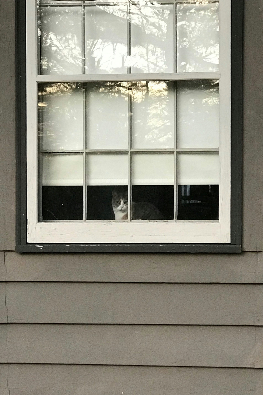 Budget-friendly exterior door makeover