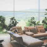 Nature-inspired living room with wooden furniture, greenery, and neutral tones