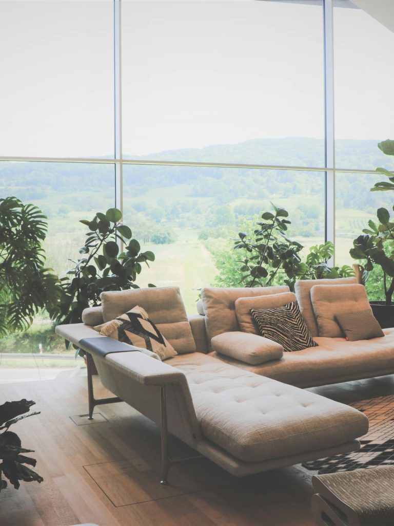 Nature-inspired living room with wooden furniture, greenery, and neutral tones