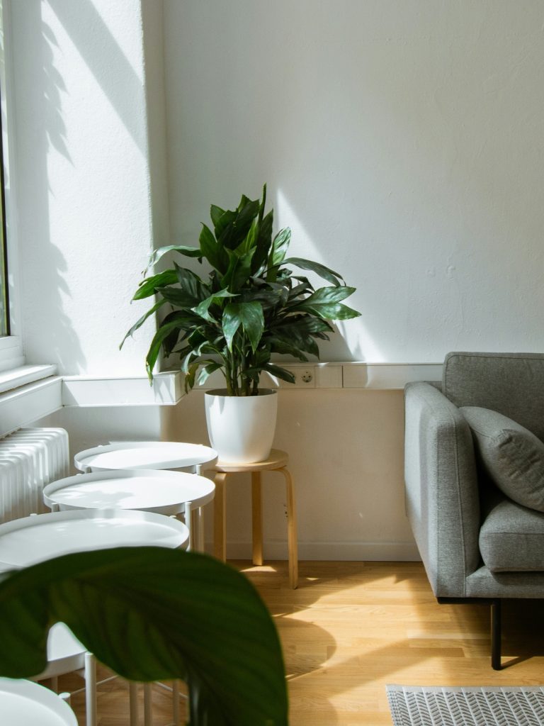 Affordable living room setup that looks expensive and luxurious