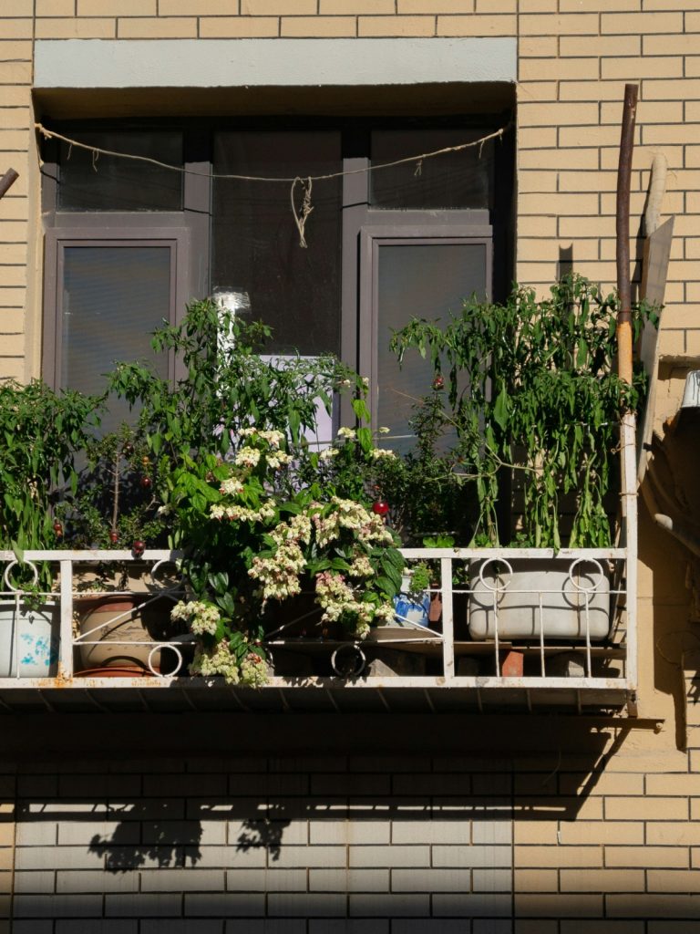 Small space balcony gardening tips for a lush urban garden