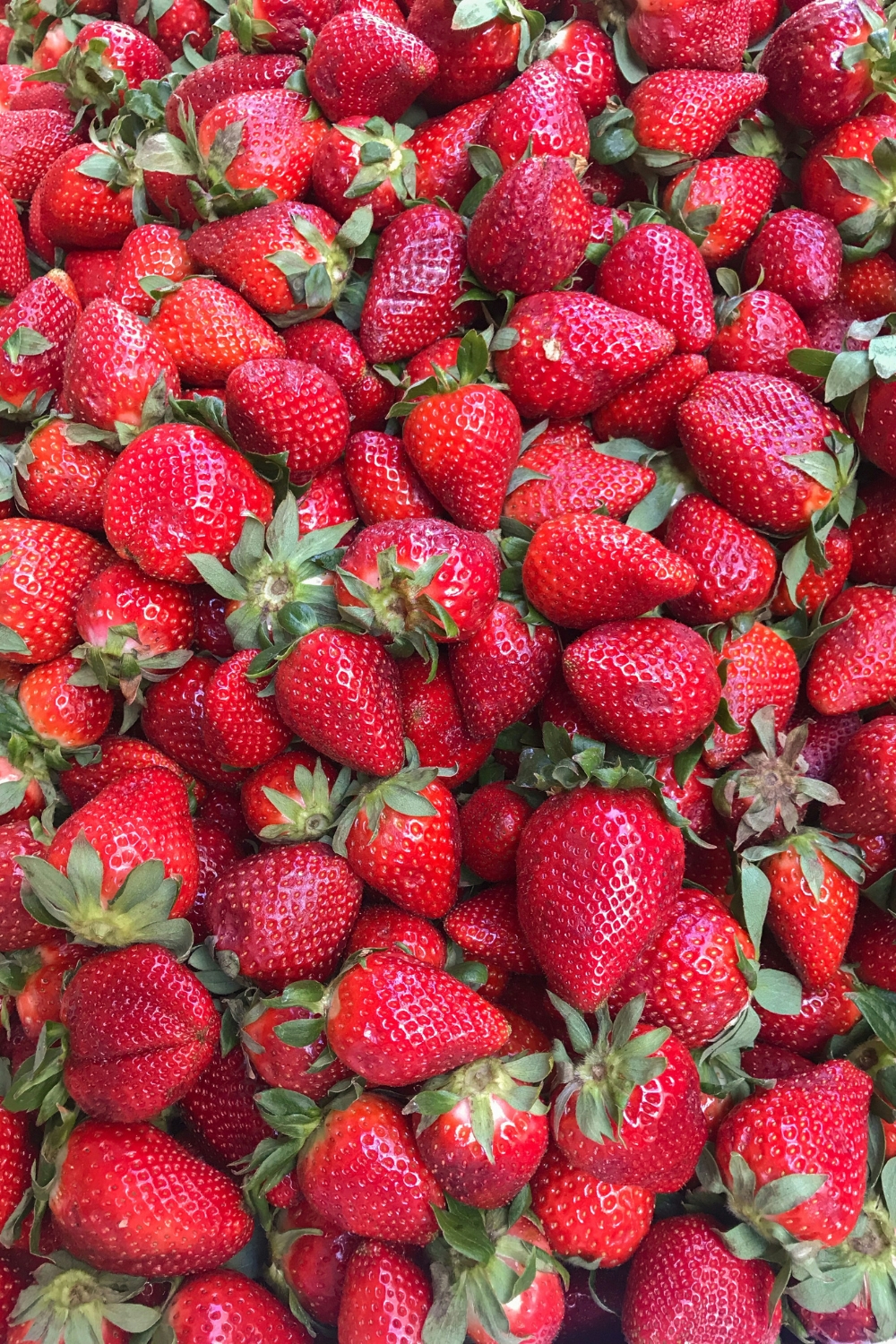 Seasonal decor sorted by season and category in labeled bins