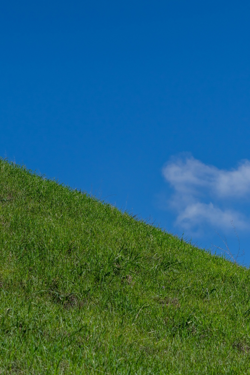 Person feeling overwhelmed by daily routines and lifestyle challenges in 2026